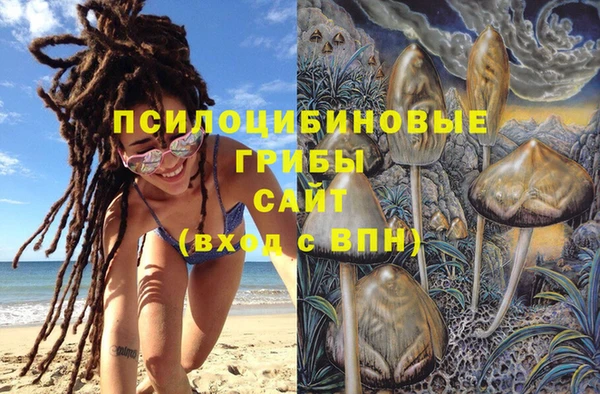 шишки Баксан