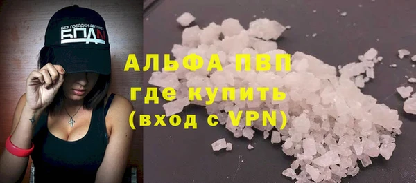 шишки Баксан