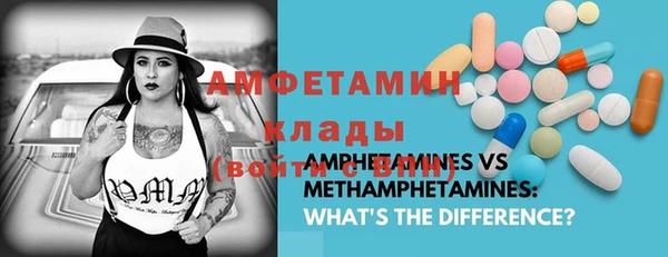 шишки Балабаново