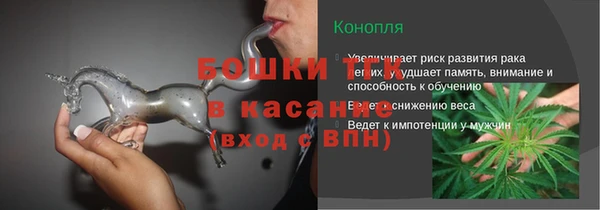 шишки Балабаново