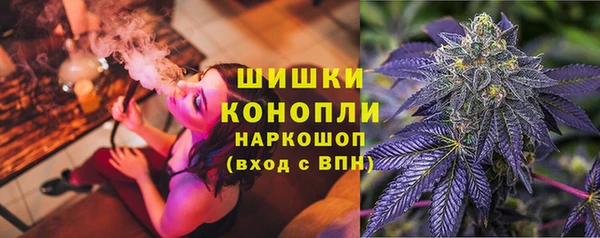 шишки Баксан