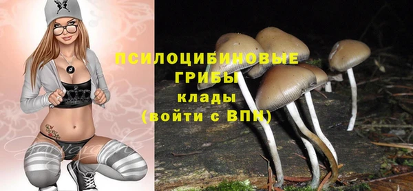 шишки Баксан