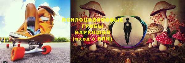 мдпв Переславль-Залесский